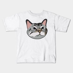 Tabby Cat Kids T-Shirt